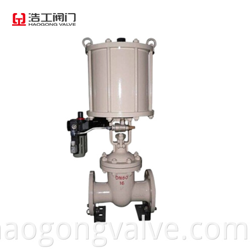 Quick Open Gate Valve Jpg